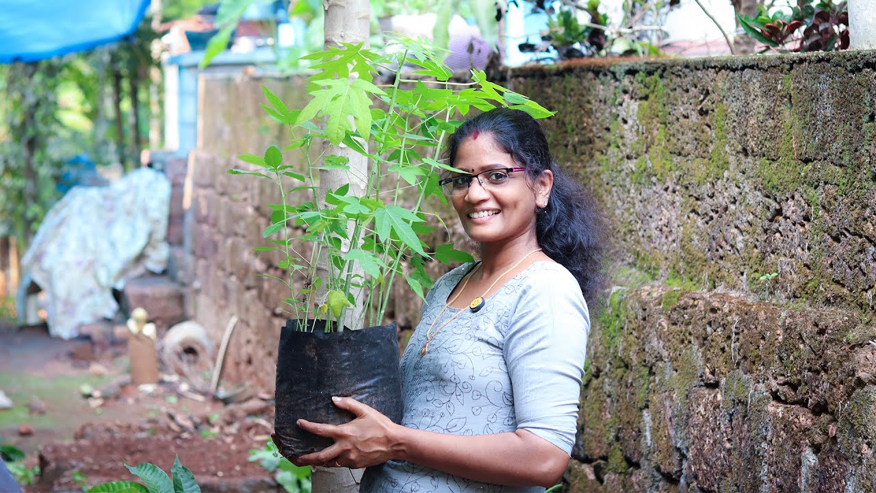 ഒരിക്കലും ഓർത്തില്ല ഇത് ഇങ്ങനെയൊക്കെ ആയിപ്പോകുമെന്ന്!😔 | Cheerulli Media