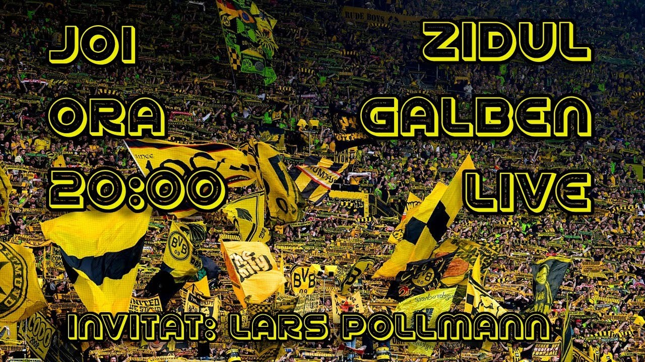 Zidul Galben Live #8