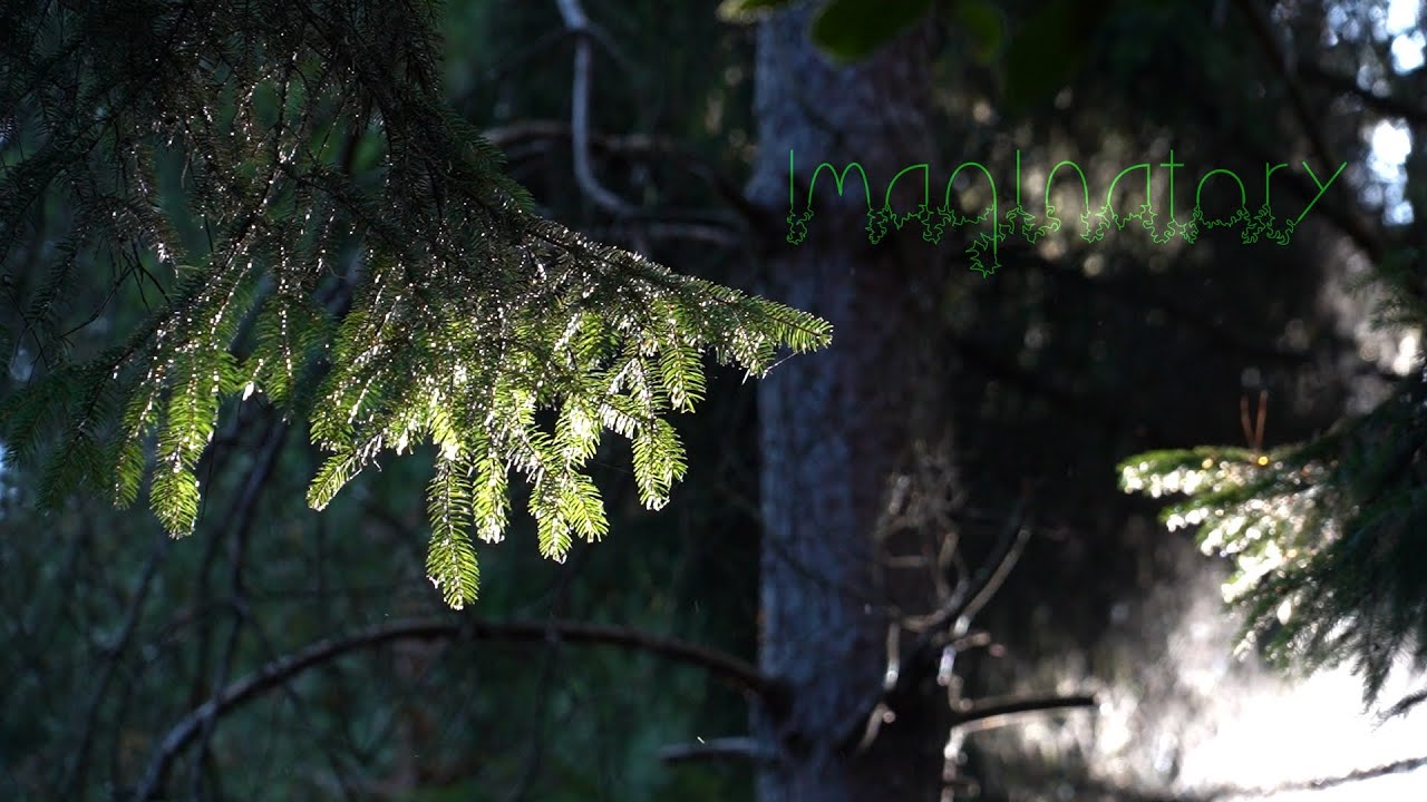 Shifting Colours. 5 Minute Nature Meditation: Imaginatory
