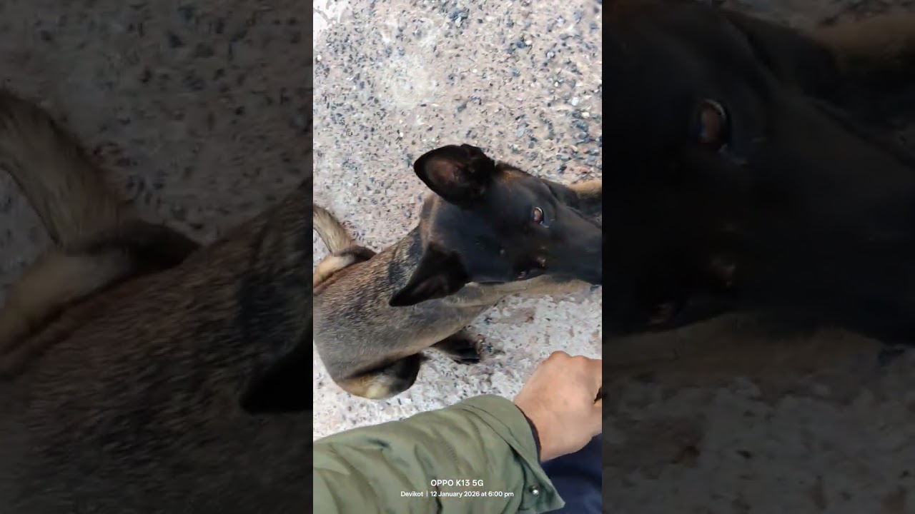 #viralvideo 