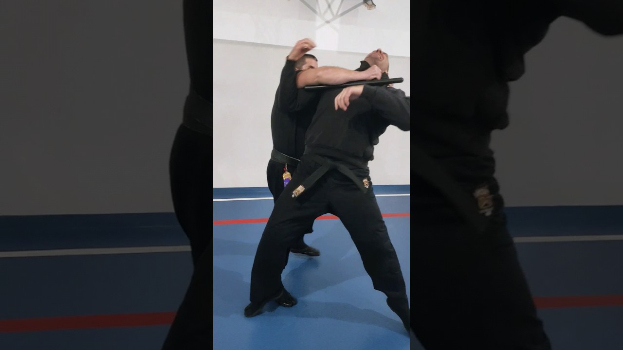 Tonfa against aggressor #ninjutsu #shadowwarrior #bujinkan #ninja #tonfa #policebaton #police #baton