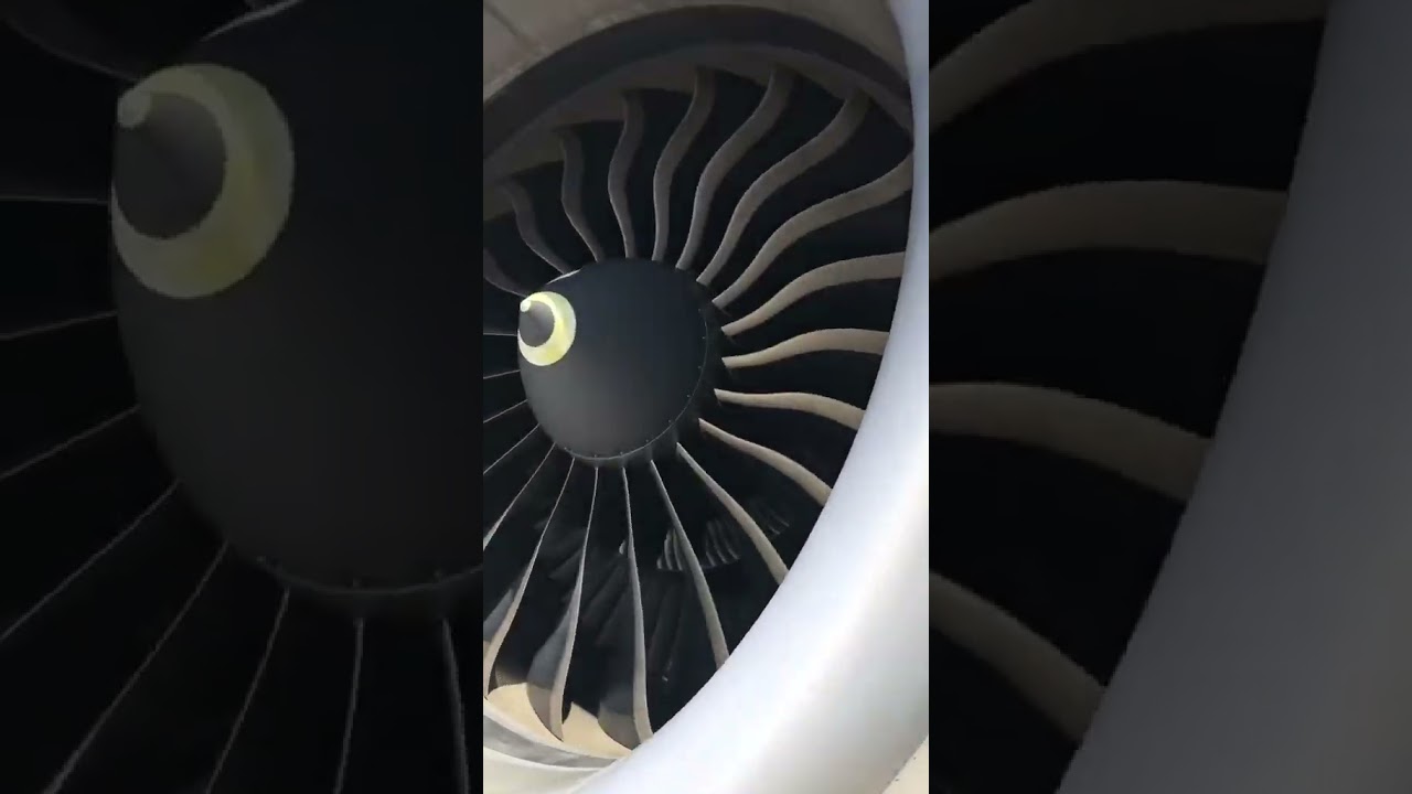 GE90 vs GENX.Can you tell from the fan blade shape#aircraft #boeing #genx #ge90 #777 #787