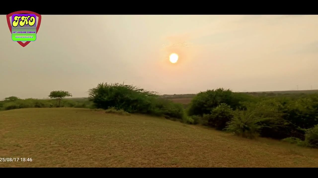 હરિયાળ તિલનો ખેતર – કુદરતની ભેટ