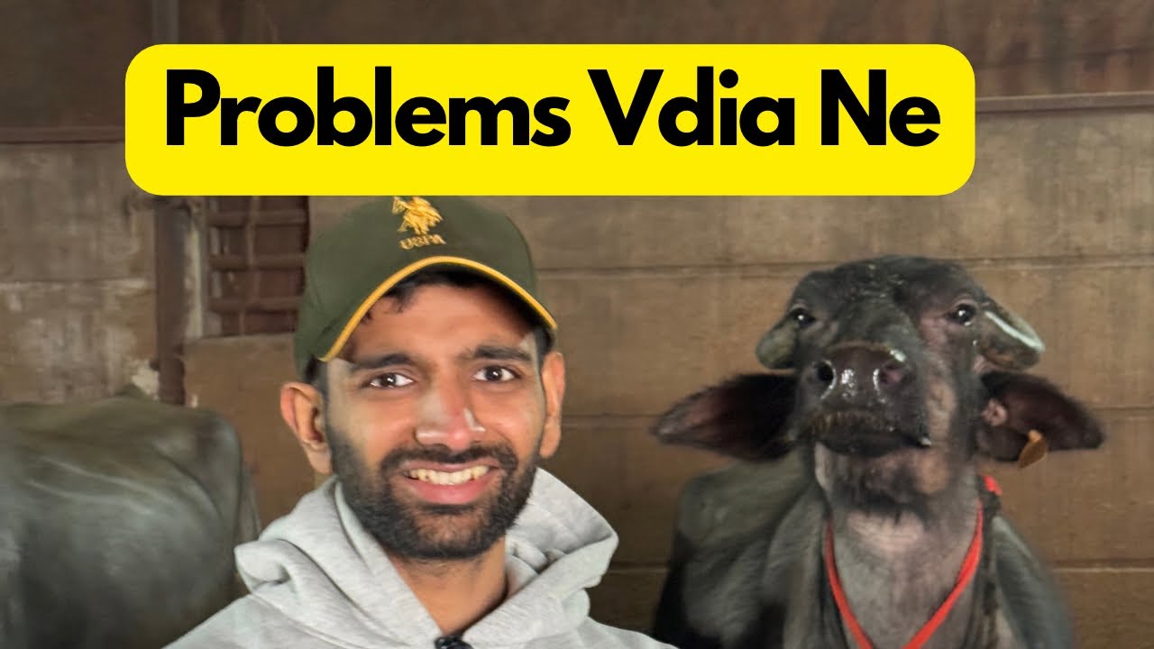Problems are good in Dairy Farming.