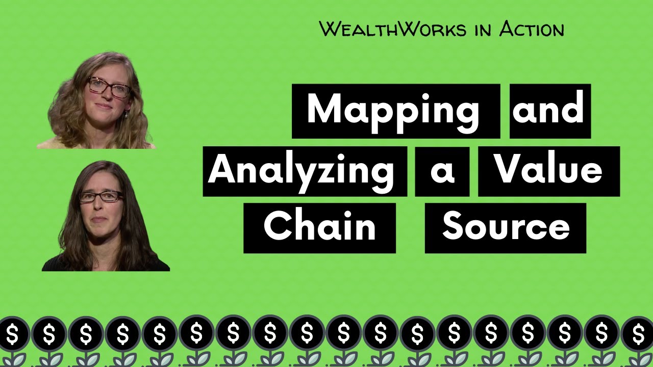 Mapping and Analyzing a Value Chain Source (WealthWorks #3)