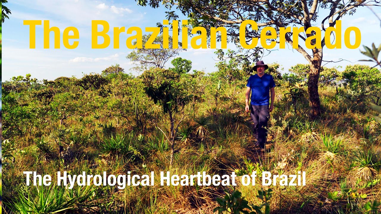 The Hydrological Heartbeat of Brazil: Why the Brazilian Cerrado is crucial to the entire continent