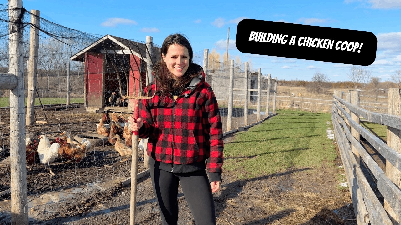 A Day On The Homestead | Building The Chicken Coop