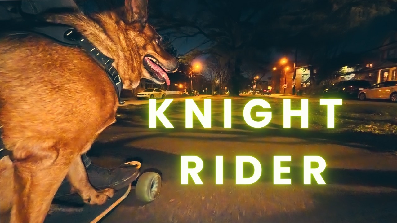 Knight Rider | Dog Skateboard POV Through Norfolk.