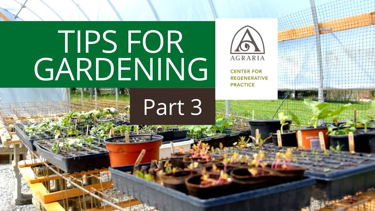 Tips for Gardening - Part 3