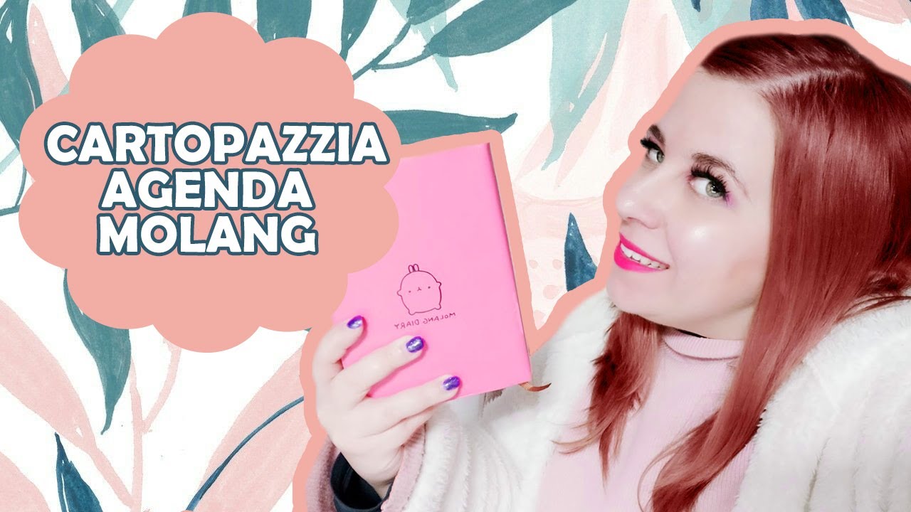 ♡HAUL CARTOPAZZO ITA♡ Vi mostro la mia nuova agenda MOLANG♡