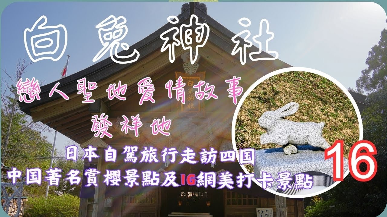 鳥取白兔神社▕ 日本第一個戀人的聖地▕ 日本神話愛情故事發源地 EP16【日本自駕旅行走訪四国、中囯著名賞櫻景點及IG網美打卡景點DAY5】