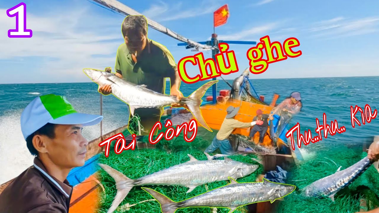 LƯỚI XÙ 1_Vác Lưới Đêm Đầu Tiên Ngư Dân Gặp Tía CÁ THU_Kiếm Được Hơn Chục Triệu Đồng