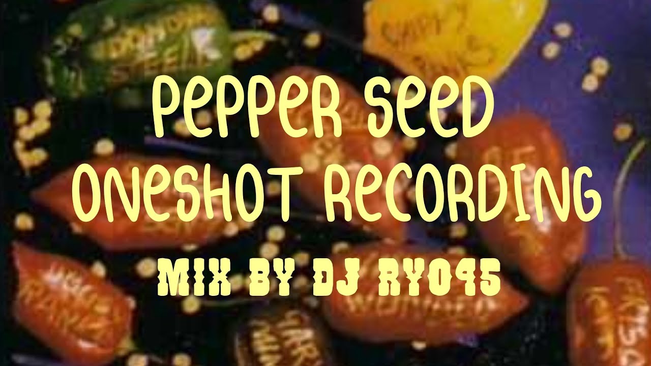 PEPPER SEED RIDDIM JAM ONESHOT RECORDING MIX BY DJ RYO45