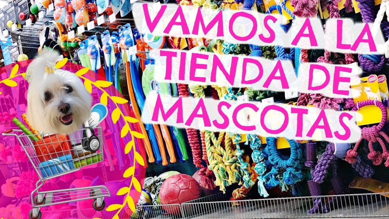 TOUR por el area de MASCOTAS, Que venden en Estados Unidos? I Lorentix