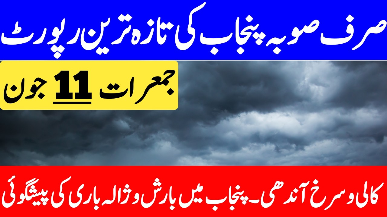 Pre Monsoon Rain's Alert : Back To Back Rain Spell In Next 10 Day's | Punjab Weather Report