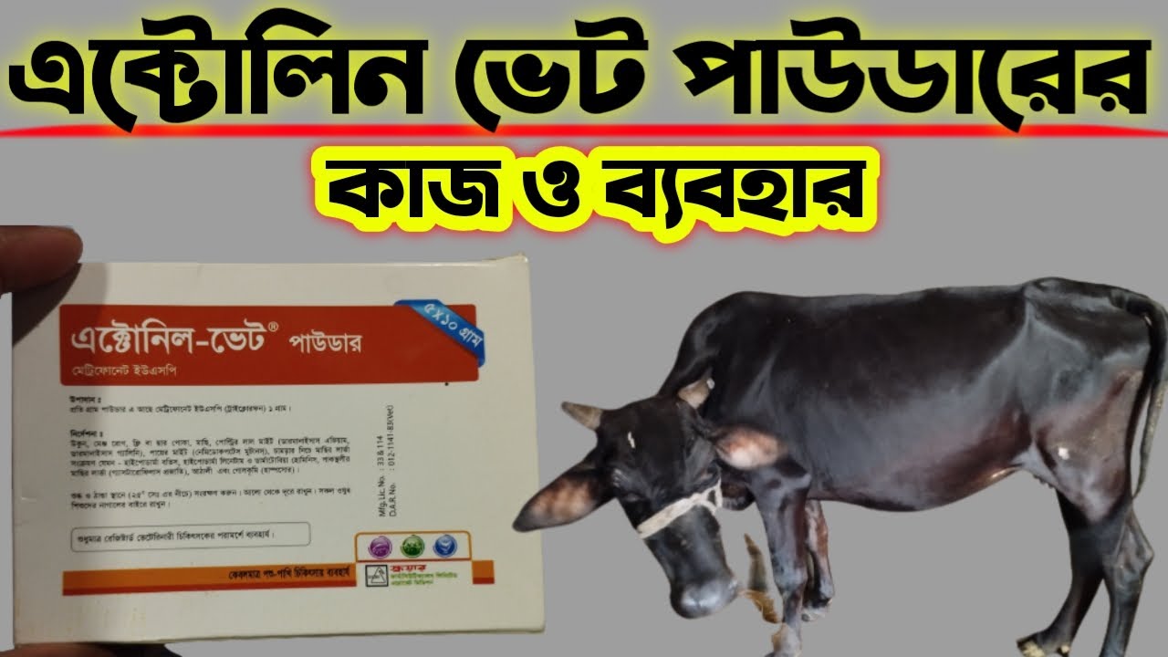 How does Ectonil vet powder work | How to use  Ectonil-Vet Powder | Ectonil-Vet Powder