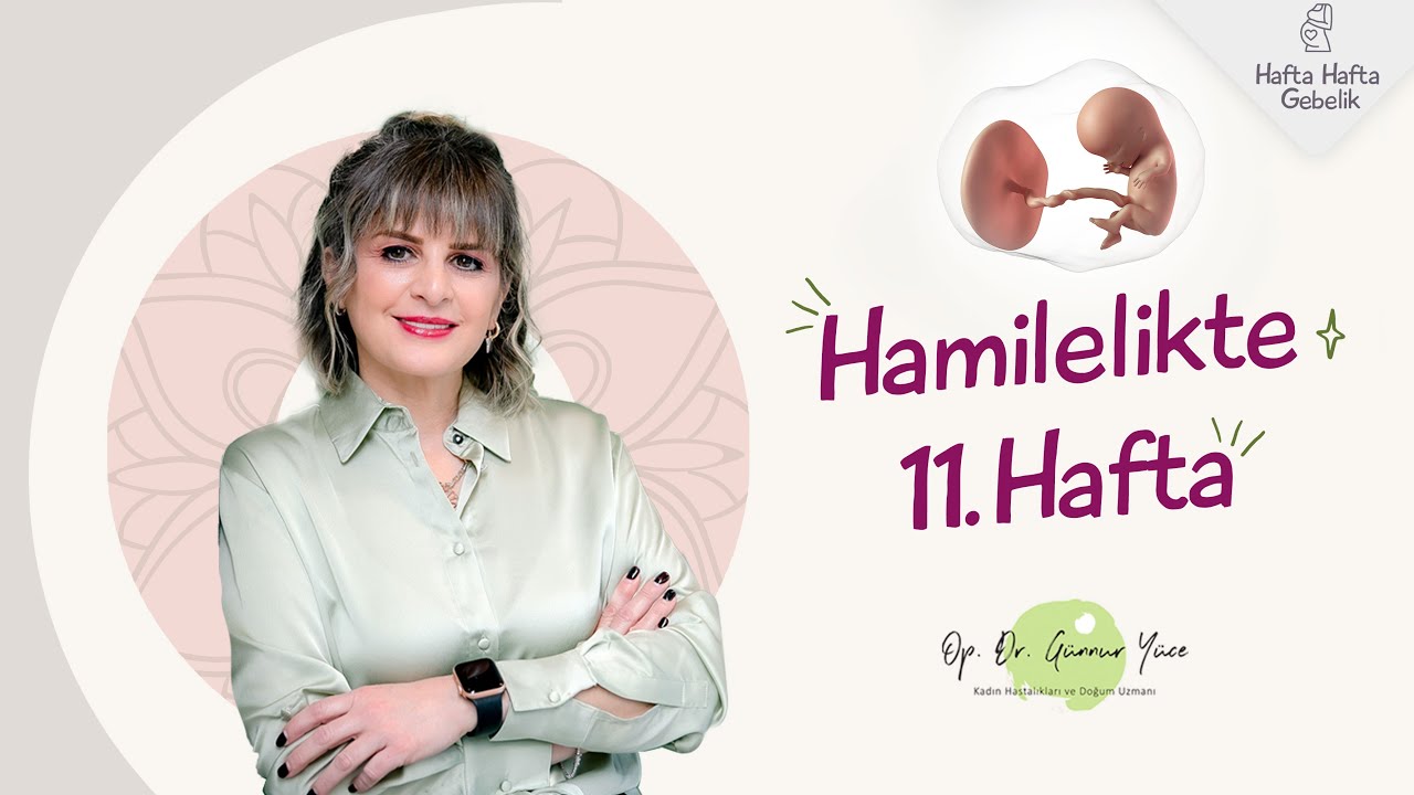 Gebelikte 11. Hafta | Op. Dr. Günnur Yüce | Hafta Hafta Gebelik