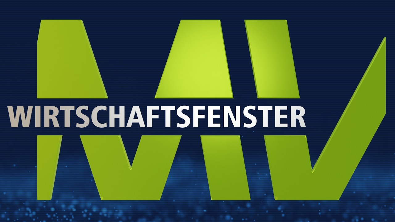 Wirtschaftsfenster MV (858)