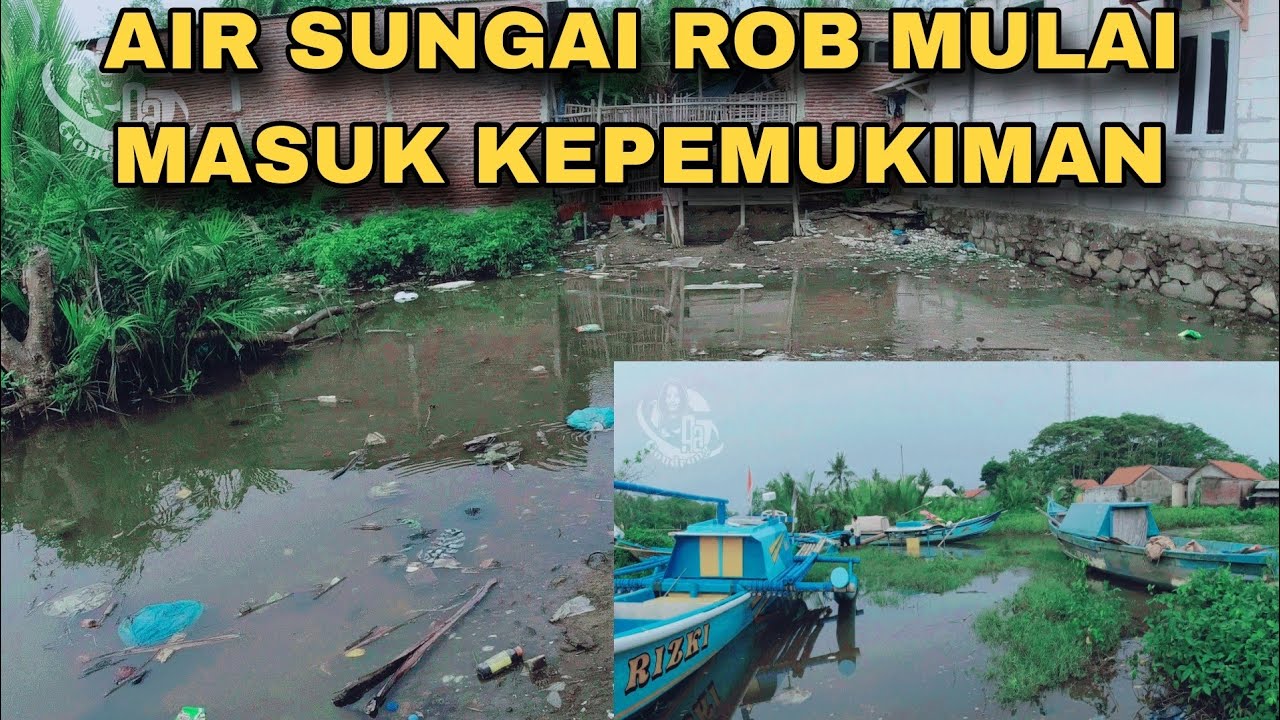 Kehidupan Di Pesisir Segara Anakan Saat Air Pasang Meluap