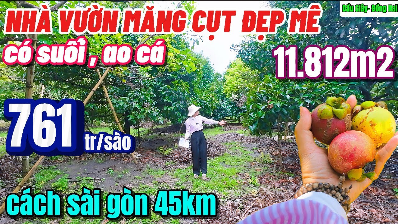 Nhà đất đồng nai,Bán gấp vườn măng cụt quá đẹp luôn nằm sát bên KCN dầu Giây mỗi năm thu 15 tấn