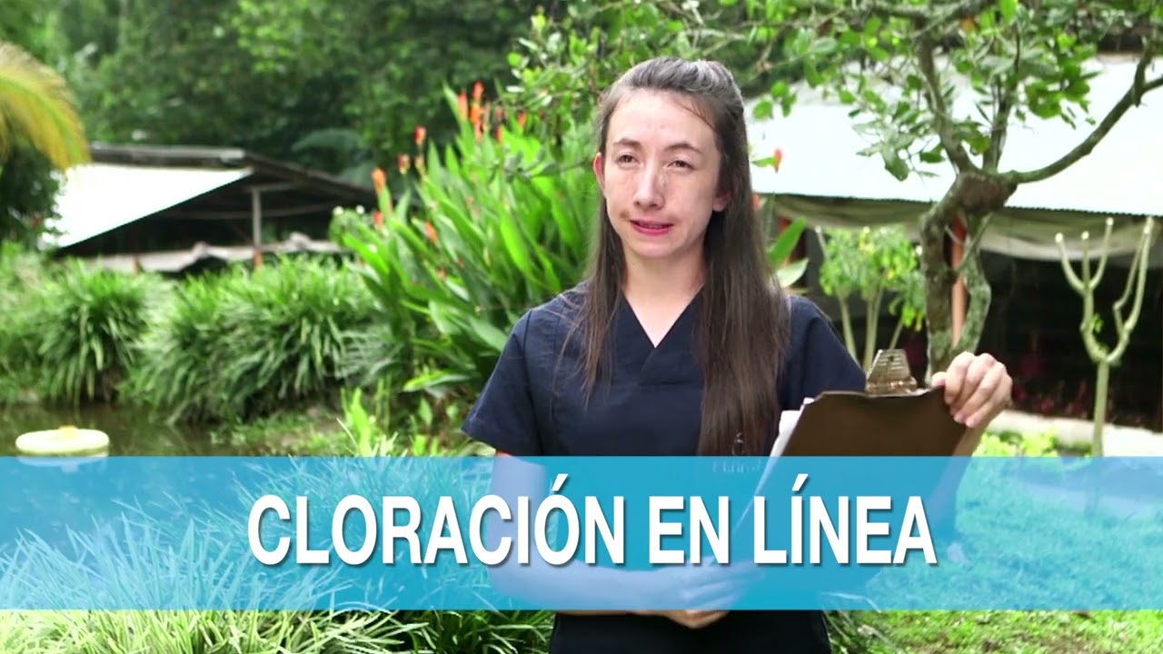 ECOTips - Pasos básicos para tratar el agua para el consumo de las aves