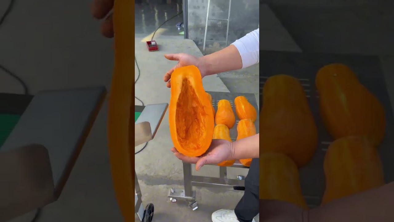 Large Vegetable Cutter" "Potato Washing and Peeling Machine