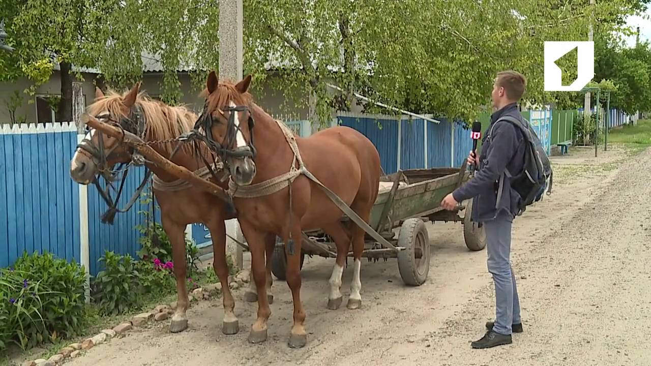 Утренний эфир / Корреспондент в селе Чобручи