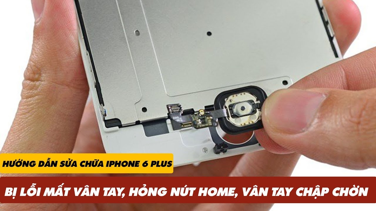 Hướng Dẫn Sửa iPhone 6 Plus Bị Lỗi MẤT VÂN TAY, HỎNG NÚT HOME, VÂN TAY CHẬP CHỜN | Truesmart
