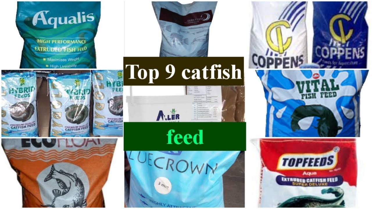 Top 9 best catfish floating feed in Nigeria