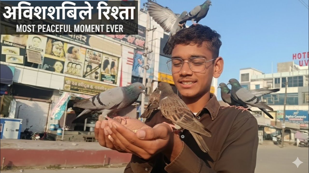 इतने प्यार से कबूतरों को खिलाते नहीं देखा होगा ❤️ | दिल छू लेने वाला वीडियो5