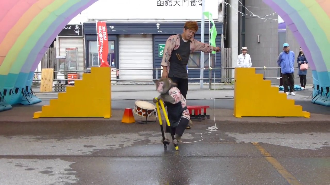2018.6.9 函館初上陸！ 日光さる軍団②　はこだて花と緑のフェスティバル2018