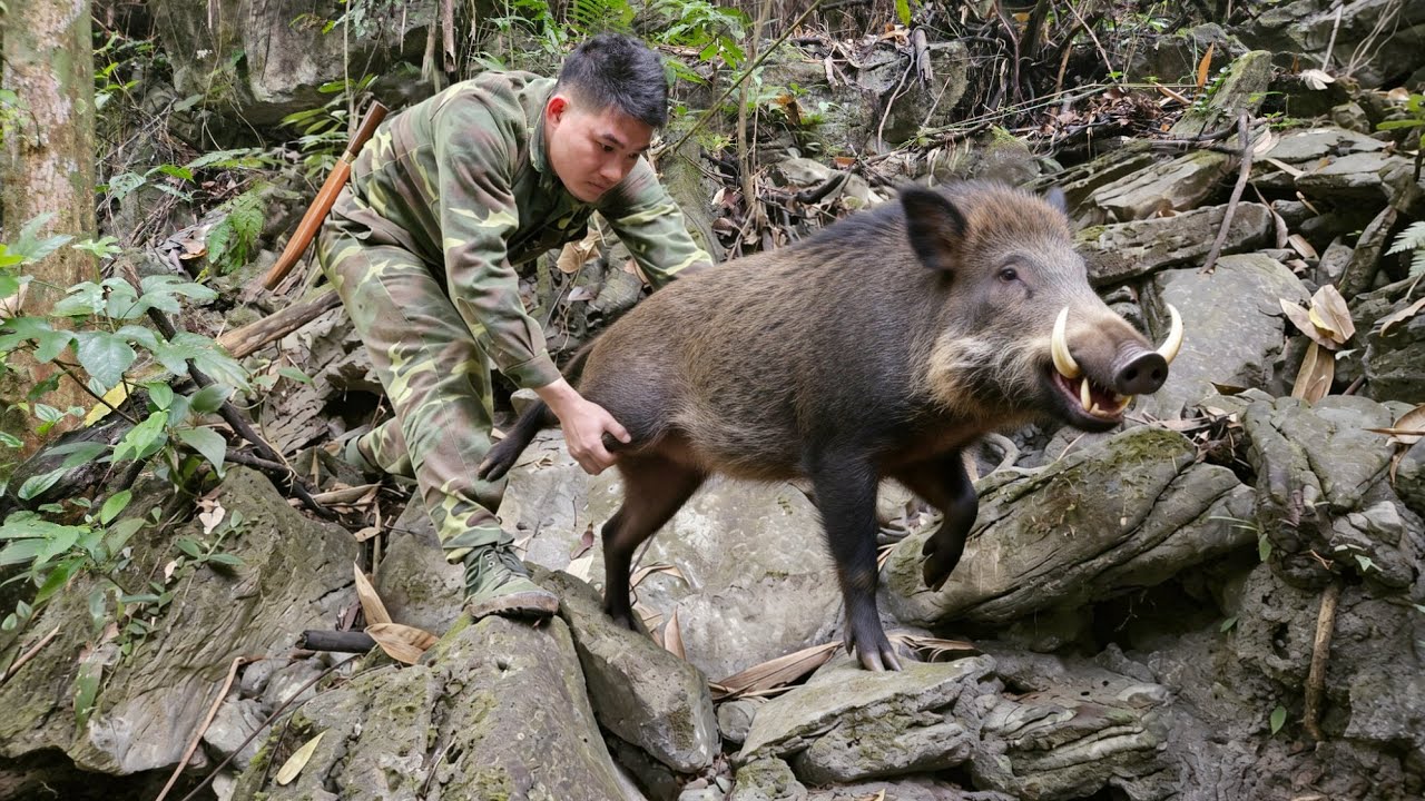 Hunting wild boars, setting traps, survival skills