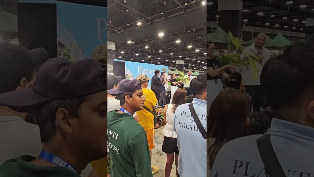 see you at Plantersmarketsg Plant Auction  13 and 14 Dec 4pm and 5pm  #plantauction #exoticplants 