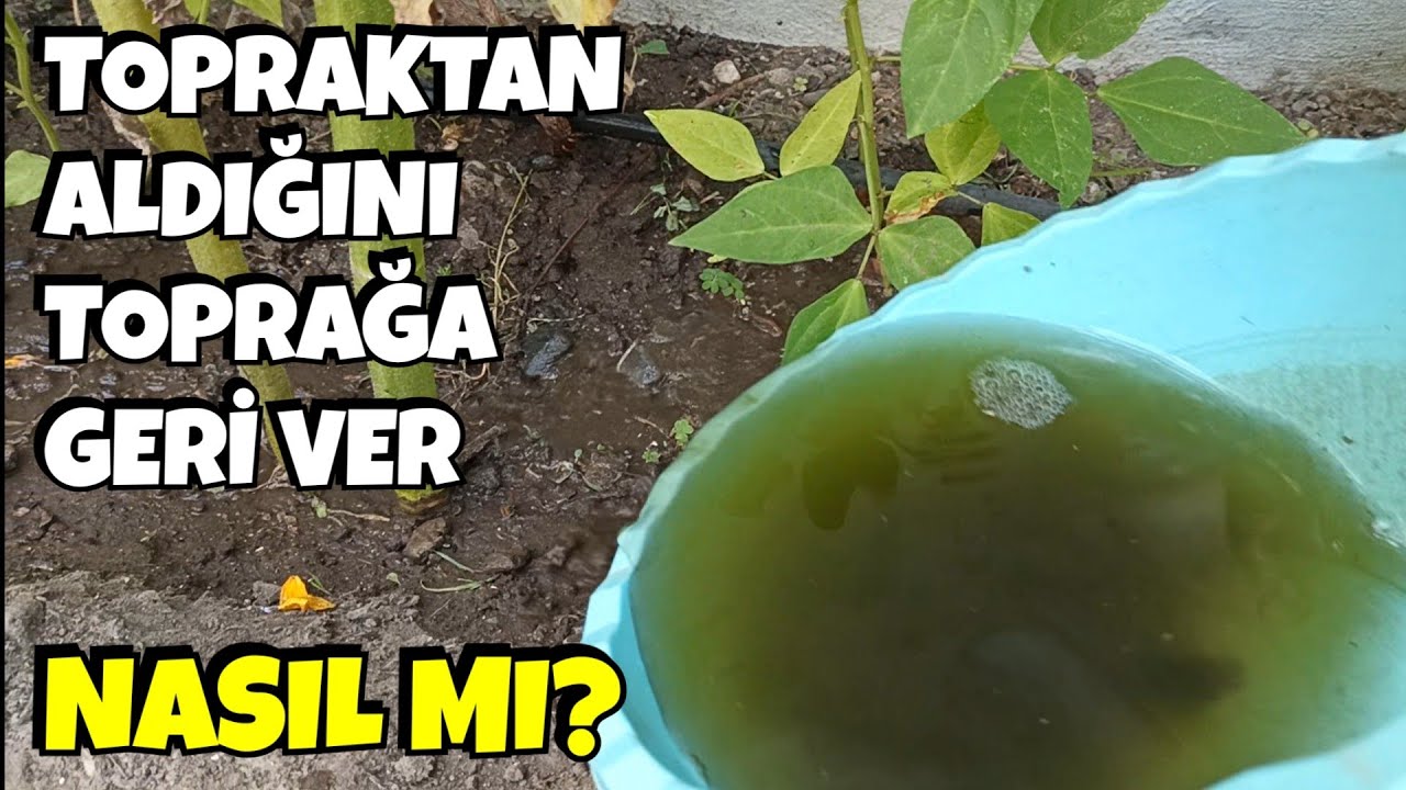 Yabancı Otları ve Bitkisel Atıkları Asla Atmayın