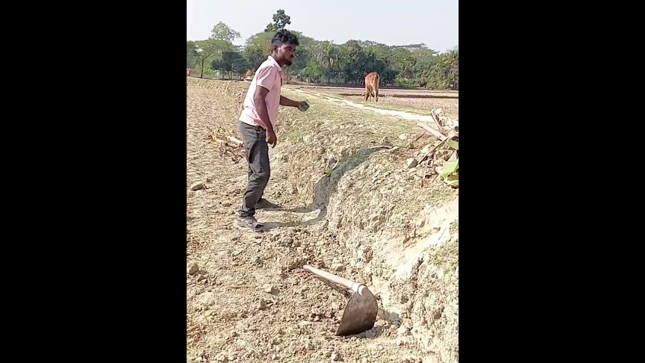 হাতি কি করলো এটা 😂 #funny #comdey #trending #viral #trending #funnyvideo 