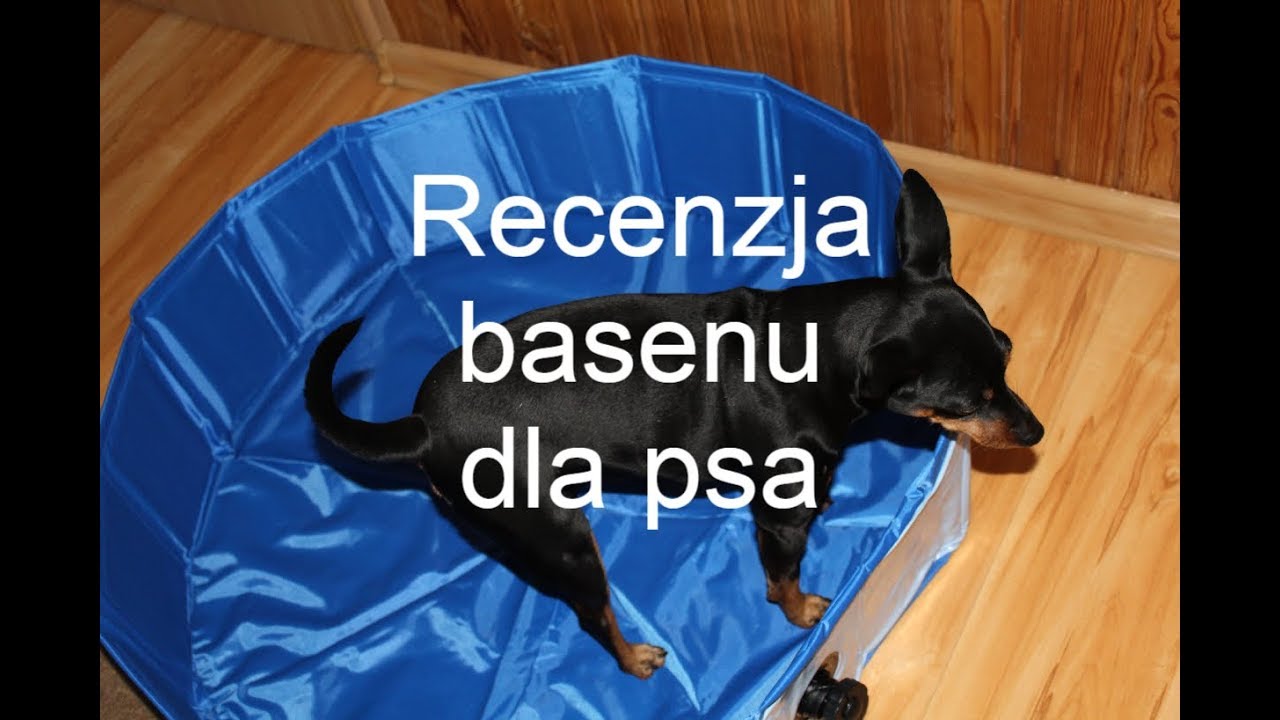 Składany basen dla psa