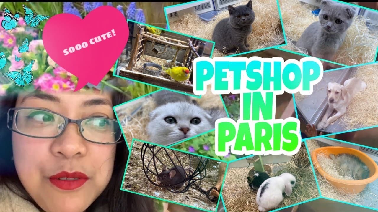 Pet shop in Paris