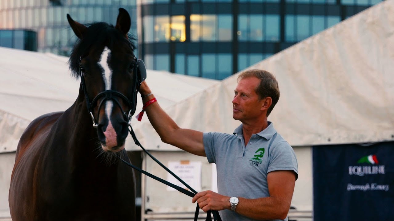 Stars in the Spotlight: Casall ASK