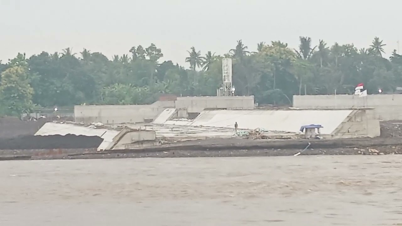Update Terkini PERKEMBANGAN PESAT GROUNDSEEL SRANDAKAN.PASKA BANJIR BESAR #damsrandakan