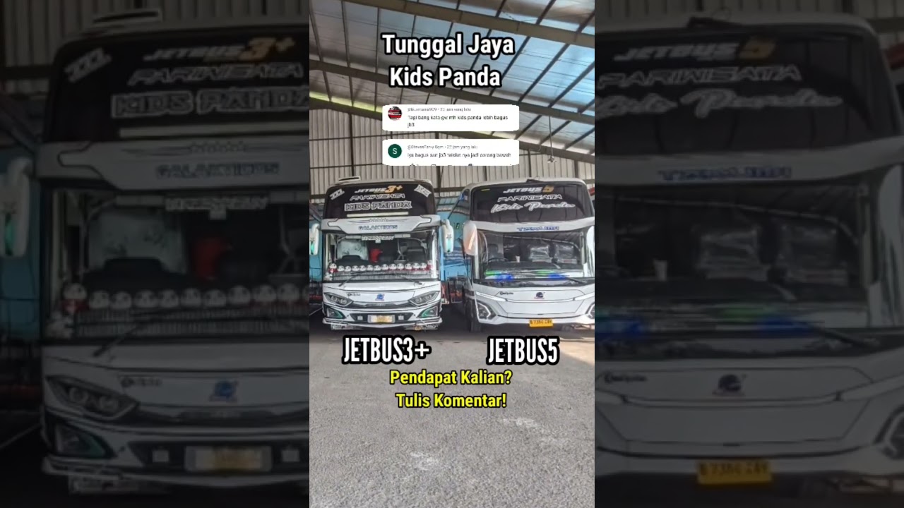 Bus Basuri Tunggal Jaya Kids Panda - Jetbus 3 vs Jetbus 5 #basuri #busmania #shorts #telolet
