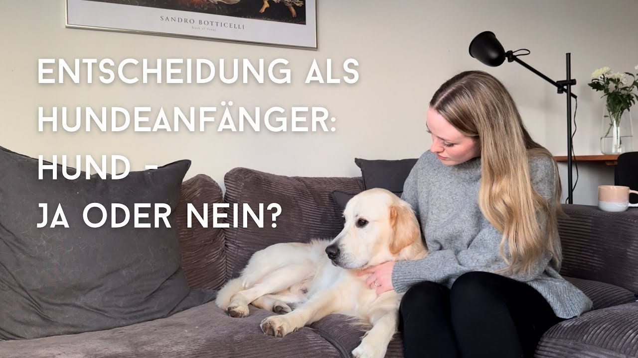 Hund JA oder NEIN? Verantwortung übernehmen als Hundeanfänger