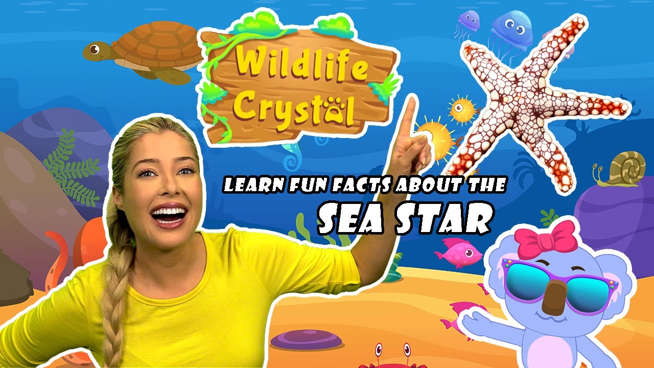 Sea Star Facts