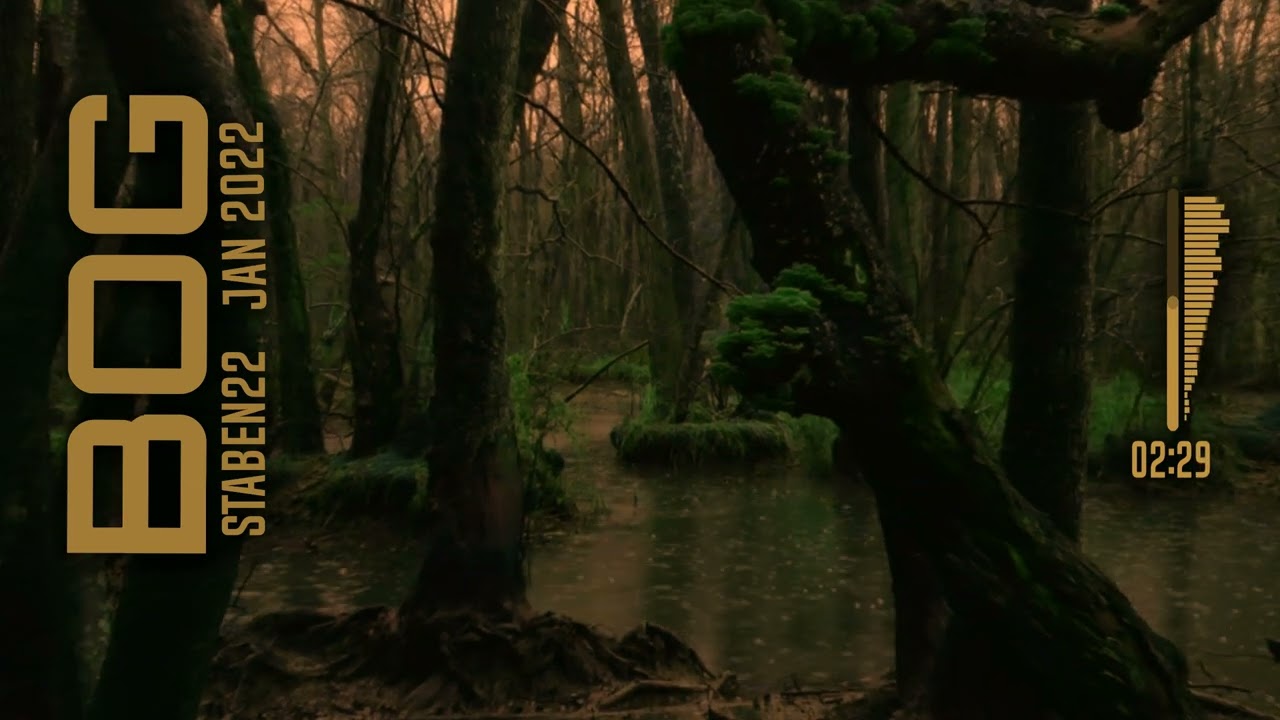 Bog