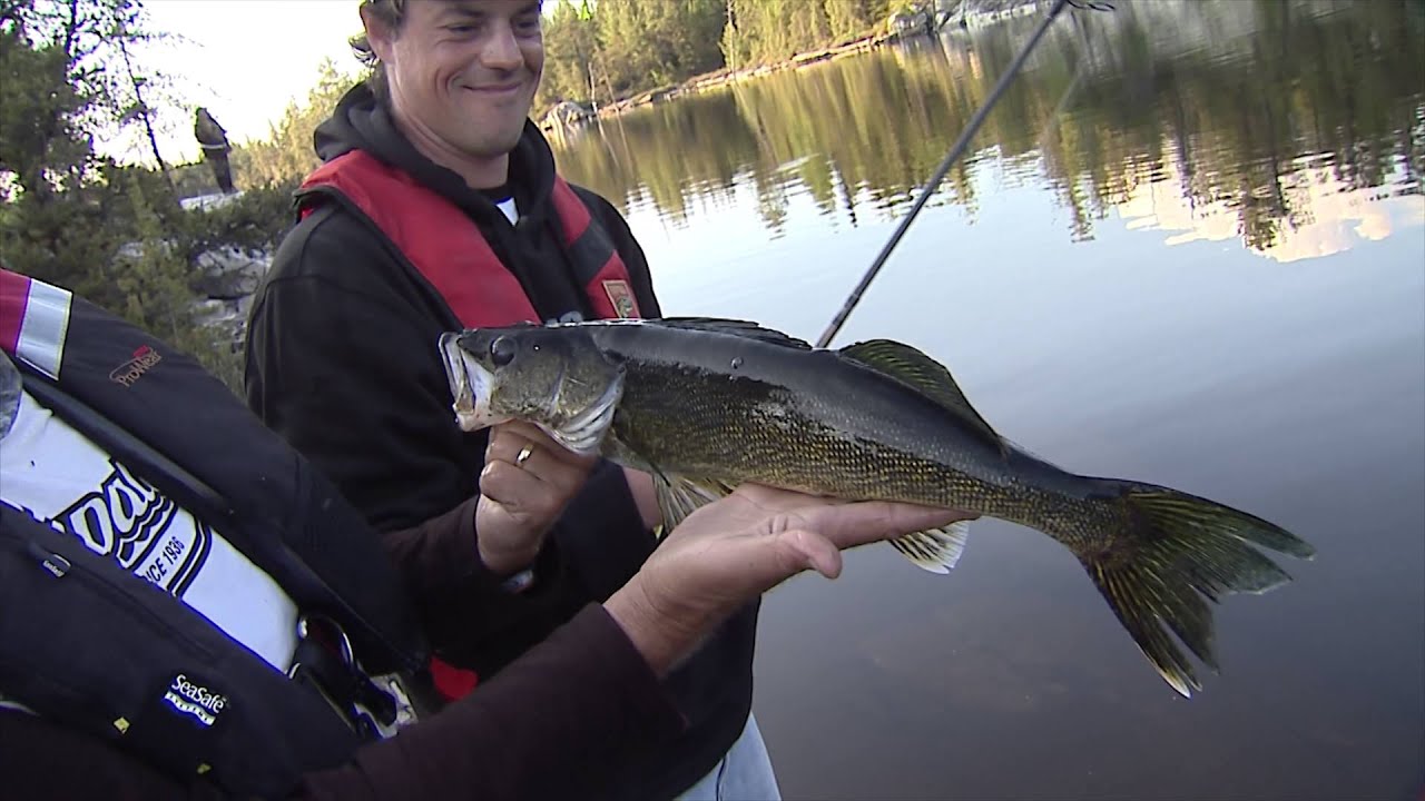 Csf 30 04 Wilderness Walleye, Red Pine Wilderness Lodge, Lady Evelyn Lake, ON. YouTube 4K