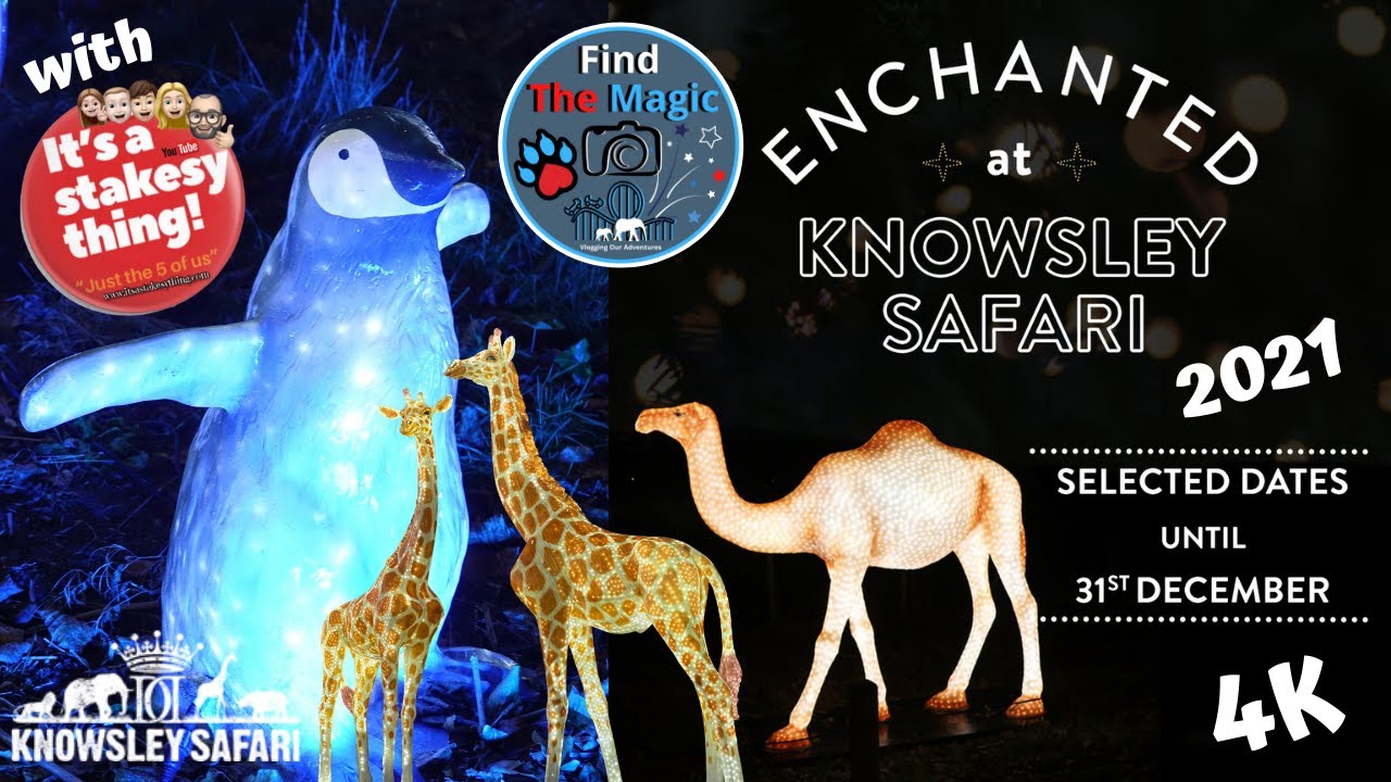 Knowsley Safari Park Enchanted Christmas Light Trail | with its a stakesy thing