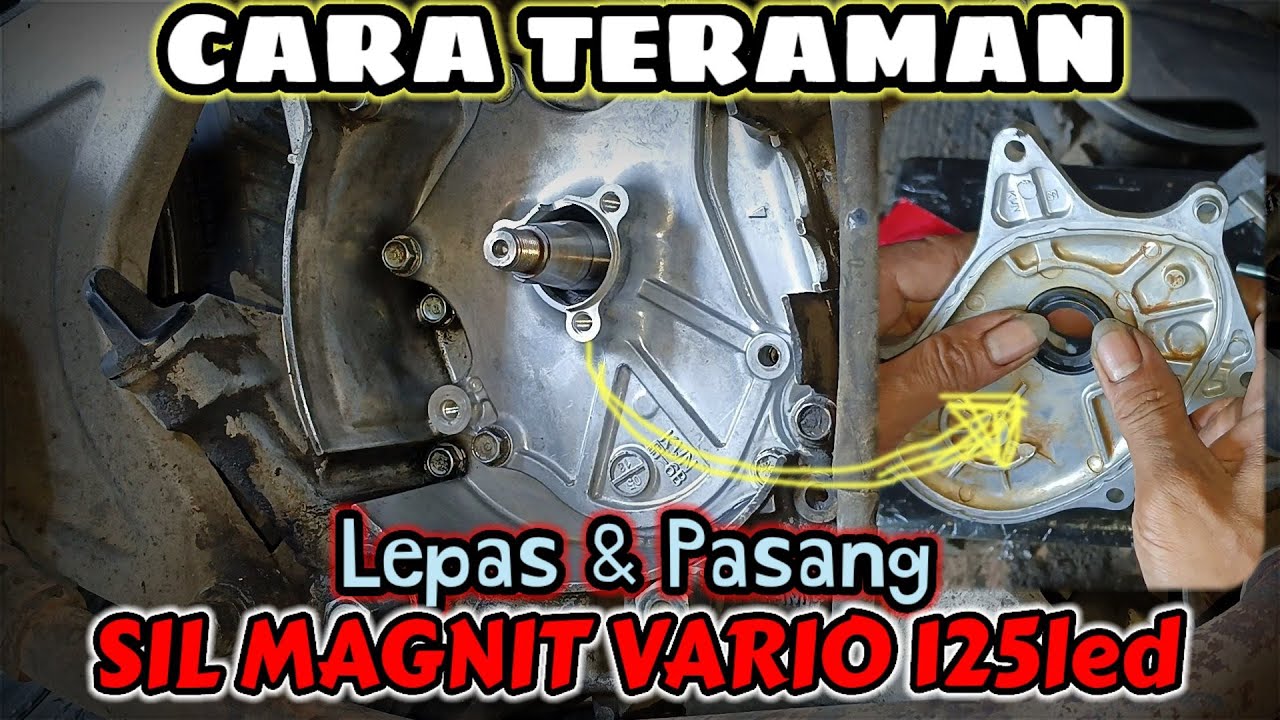 Begini Cara Yang Benar Ganti Seal magnit Vario 125