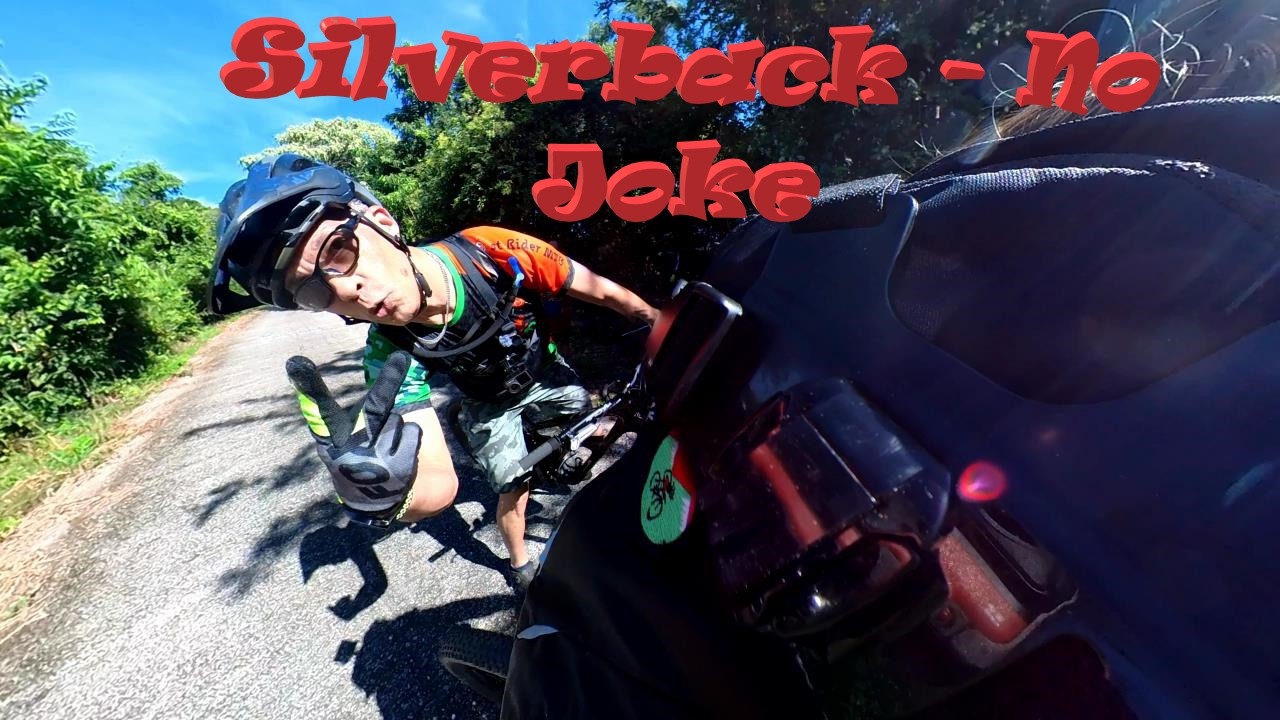Dawn's first Shred on Silverback! A No Joke Black Diamond MTB in Trinidad
