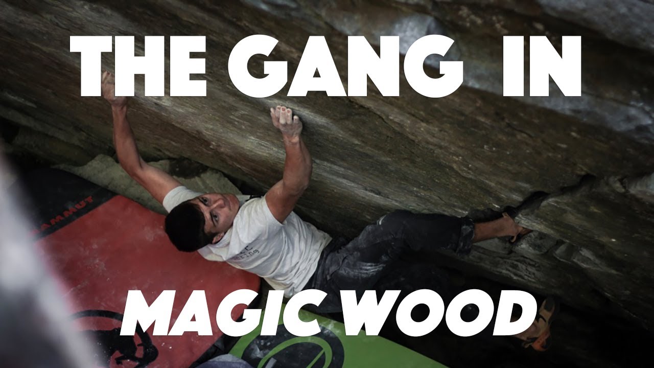 The Gang In Magic Wood (7a to 7c) - Summer 2019 // (Intermezzo, Supernova etc.)