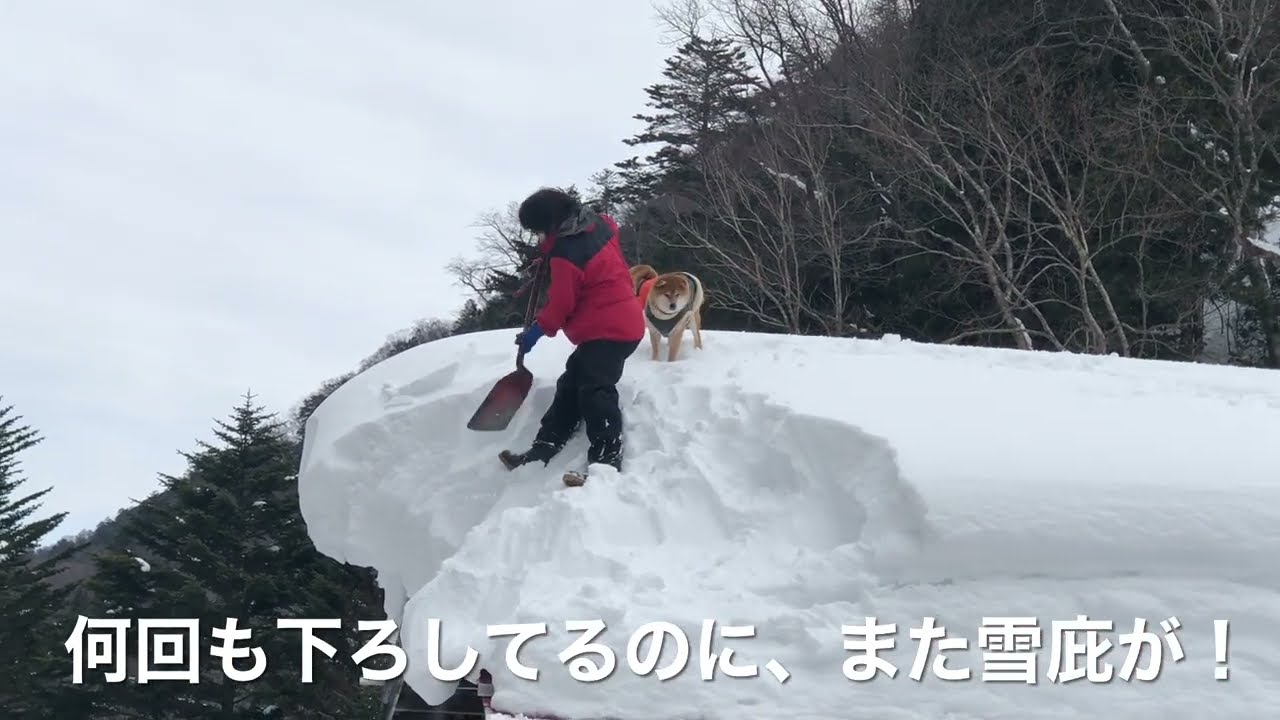日常生活の中の雪下ろし　2022年お客様のいない日の１月、2月は雪下ろしで終わった。