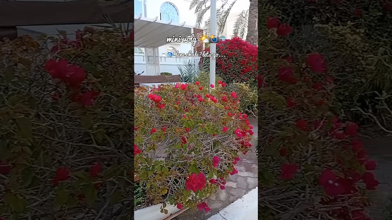 ramadan mini vlog #shortsfeed #food #uaemalayali #vlog #minivlog #abudhabivlog #abudhabi #ytshorts